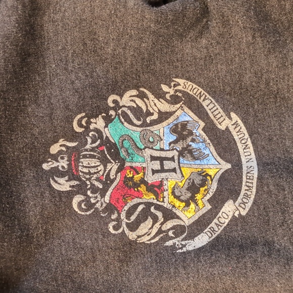 Hogwarts™ Crest Adult Sweatshirt With Hood Zip-up - Picture 2 of 6